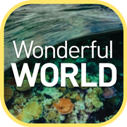 Wonderful World